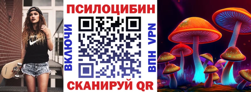 цена наркотик Невельск Псилоцибиновые грибы мицелий